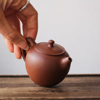 Jiyu 吉羽 - Yixing Teapot in Qingshuini purple clay - Eastern Leaves