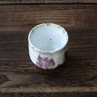 Melting Snow - 120 ml Dai cup - Eastern Leaves