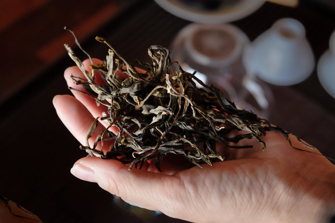 Pu'er tea: land, people and time - October 19th, 10 - 12am CET - Eastern Leaves