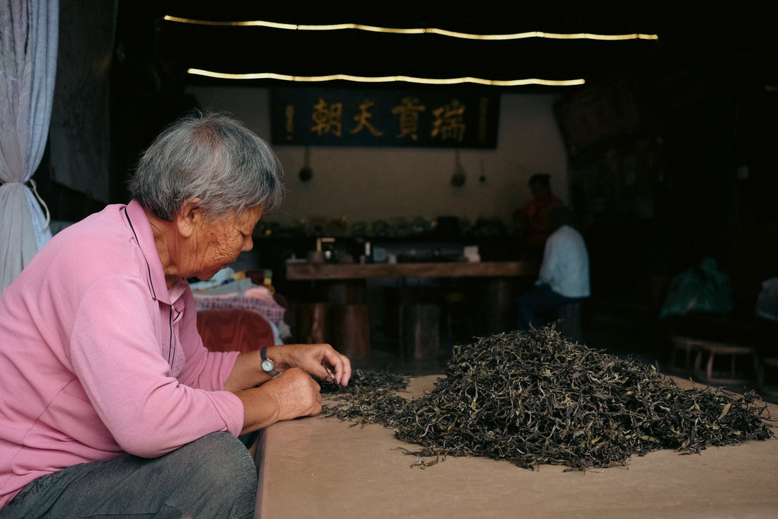 Pu'er tea: land, people and time - October 19th, 10 - 12am CET - Eastern Leaves