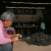 Pu'er tea: land, people and time - October 19th, 10 - 12am CET - Eastern Leaves