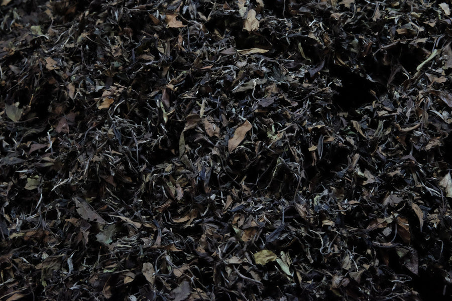 Tasting seminar: the code of white tea - October 12th, 10 - 12 am CET - Eastern Leaves