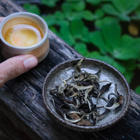 Tasting seminar: the code of white tea - October 12th, 10 - 12 am CET - Eastern Leaves