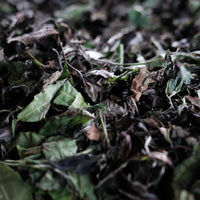 Tasting seminar: the code of white tea - October 12th, 10 - 12 am CET - Eastern Leaves