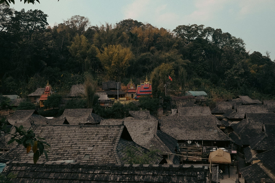Tea Club - Season 2, Chapter 1: Shupu 熟普洱 - Eastern Leaves