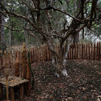 Tea Club - Season 2, Chapter 1: Shupu 熟普洱 - Eastern Leaves