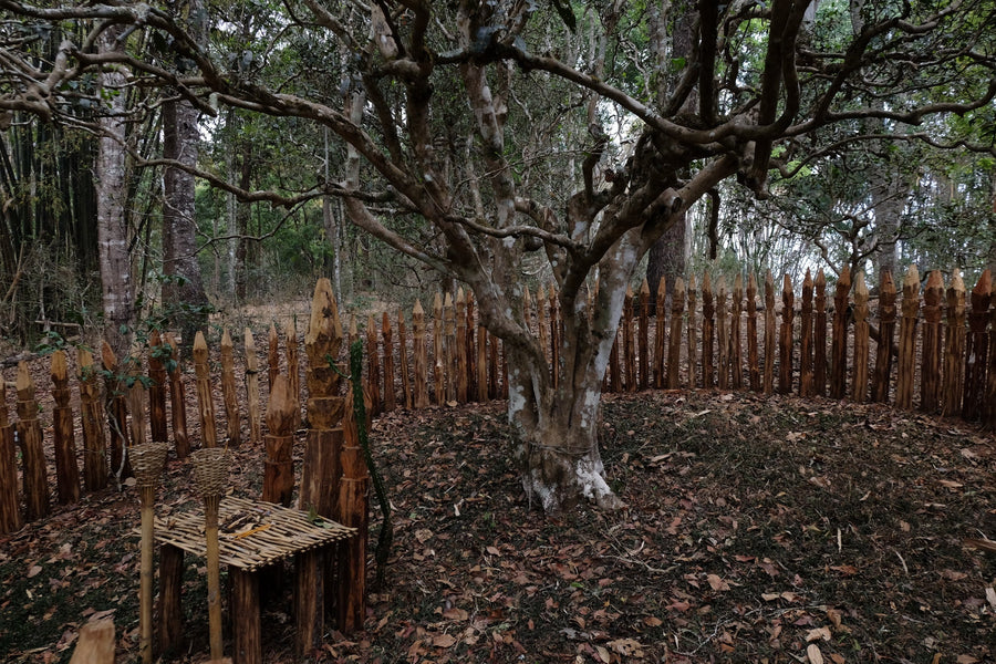 Tea Club - Season 2, Chapter 1: Shupu 熟普洱 - Eastern Leaves