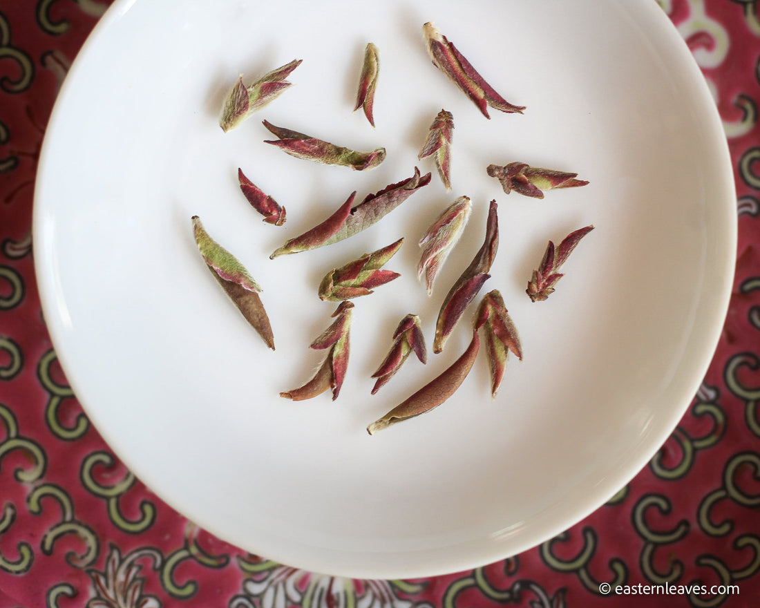 Ziya Yabao 芽苞 - Purple variety White Tea Buds - Eastern Leaves