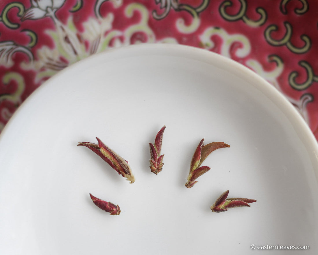 Ziya Yabao 芽苞 - Purple variety White Tea Buds - Eastern Leaves