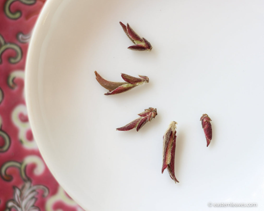 Ziya Yabao 芽苞 - Purple variety White Tea Buds - Eastern Leaves