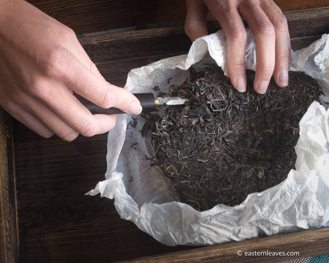 Cutting Pu'er shengpu Chinese tea pressed cake brick vintage and aged, 2008 spring harvest, from Yiwu in Yunnan