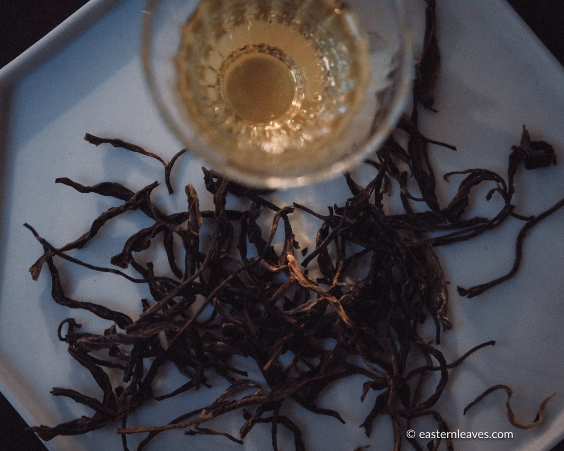 Pu'er shengpu Chinese tea loose-leaf vintage and aged, 2017 spring harvest, from ancient trees forest, yellow brew liquor in glass cup, golden buds, from Nannuo in Yunnan