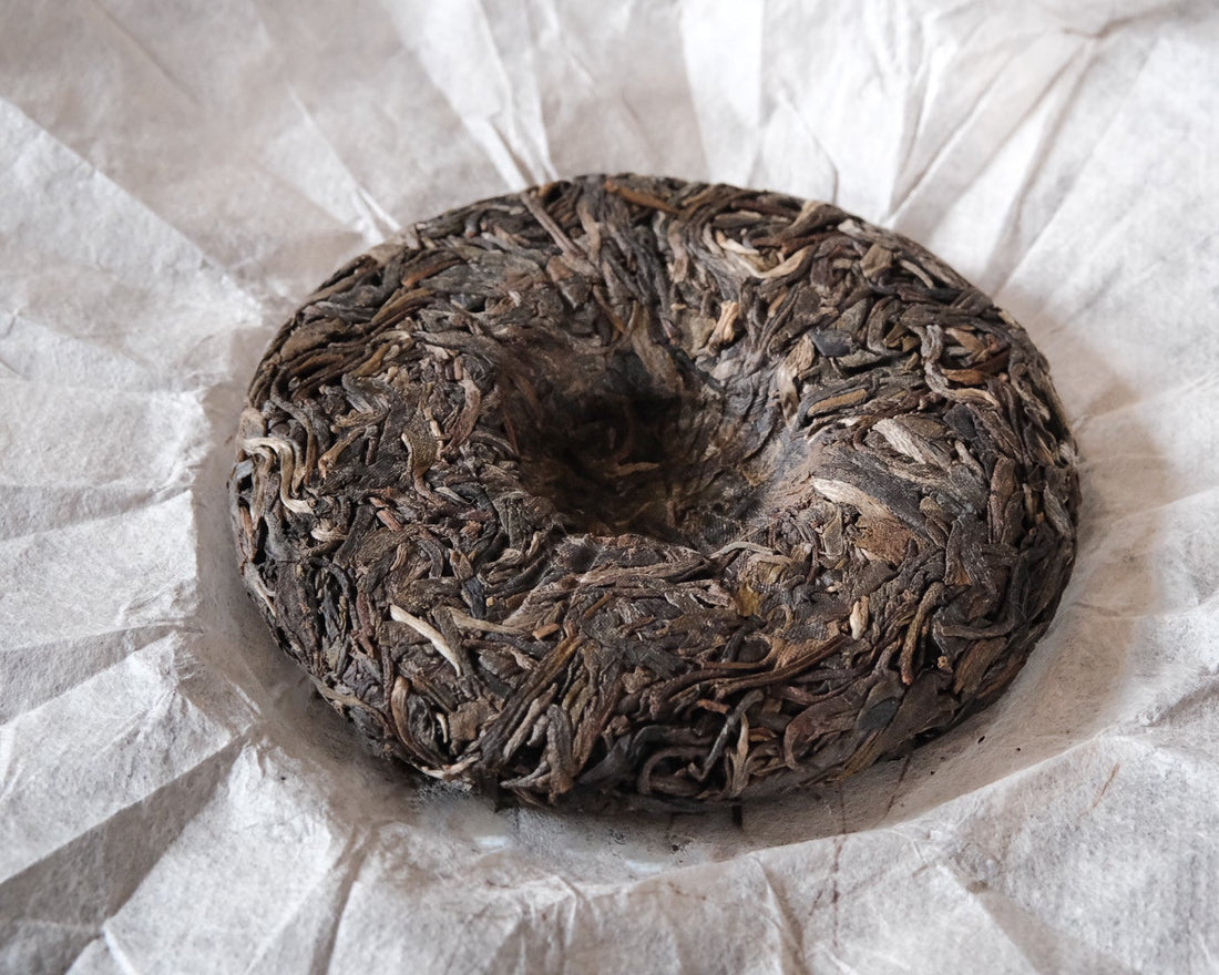 Pu'er sheng pu autumn harvest vintage and aged  in pressed cake, from Yunnan, Ancient trees gushu, leaf detail