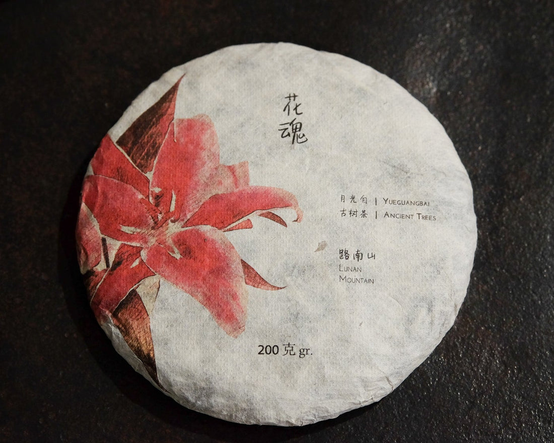 Chinese white tea Yueguangbai moonlight white tea, Lunan Pasha Yunnan, aged white tea in pressed tea cake brick, ancient trees gushu