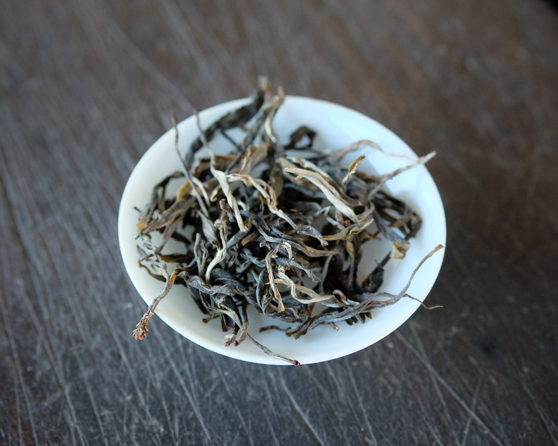 Pu'er sheng pu spring harvest vintage and aged in pressed cake, from Lunan Pasha Yunnan, Ancient trees gushu, loose-leaf detail