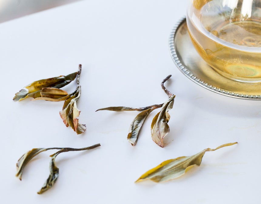 Pu'er sheng pu spring harvest, vintage and aged in pressed cake, from Nannuo Yunnan, forest tea, yellow brew in glass and leaf detail