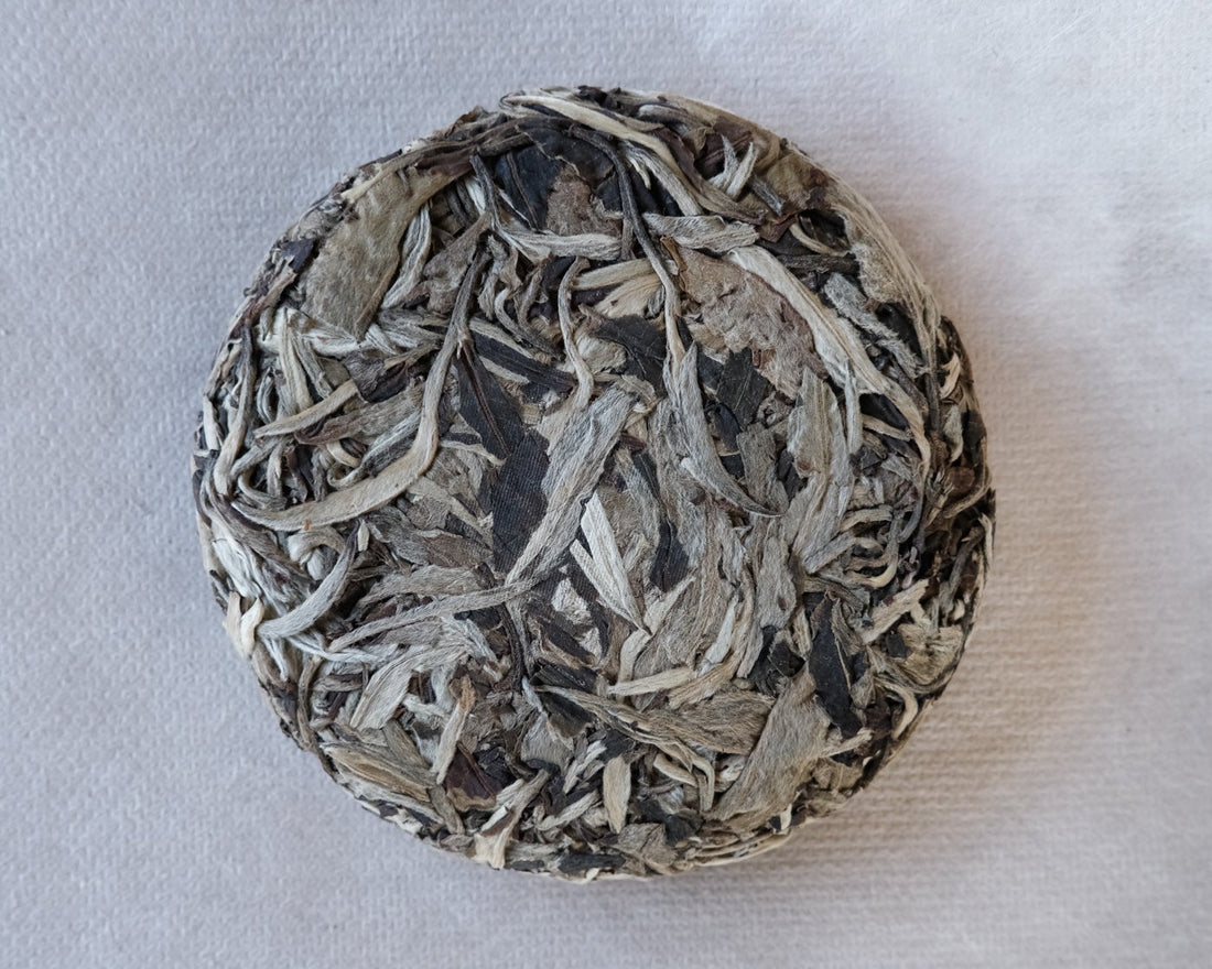 2020 Tè bianco Yueguangbai di Alberi Antichi, pressato a pietra