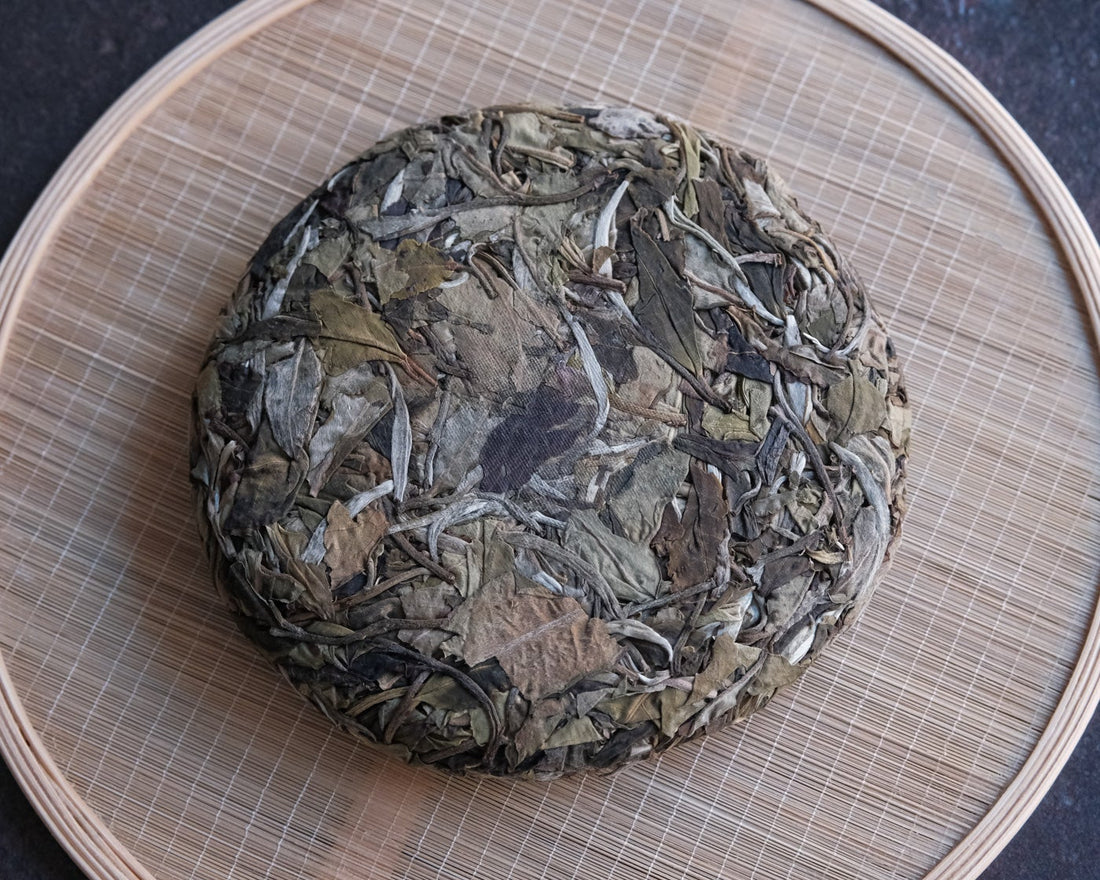 Yueguangbai white tea, wild forest tea, yunnan white tea, white tea cake, compressed tea