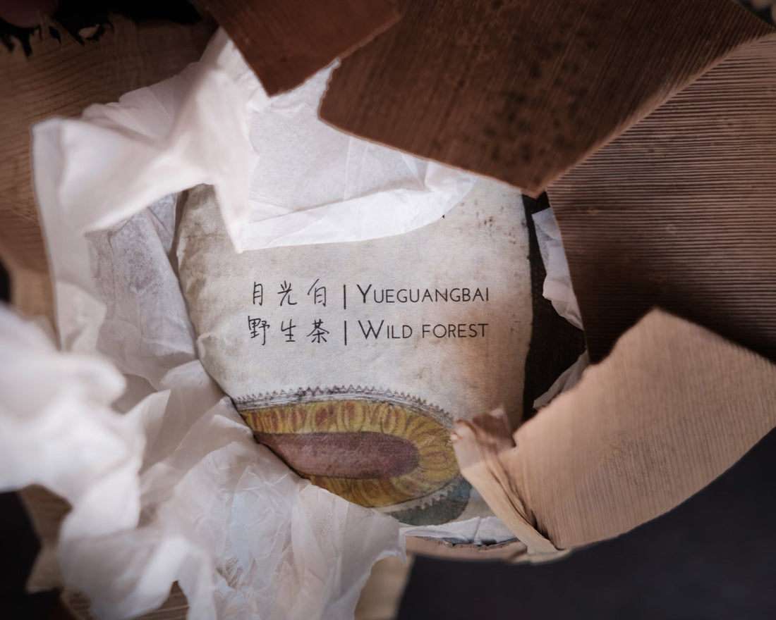 2020 Tè Bianco Yueguangbai di Foresta, pressato a pietra