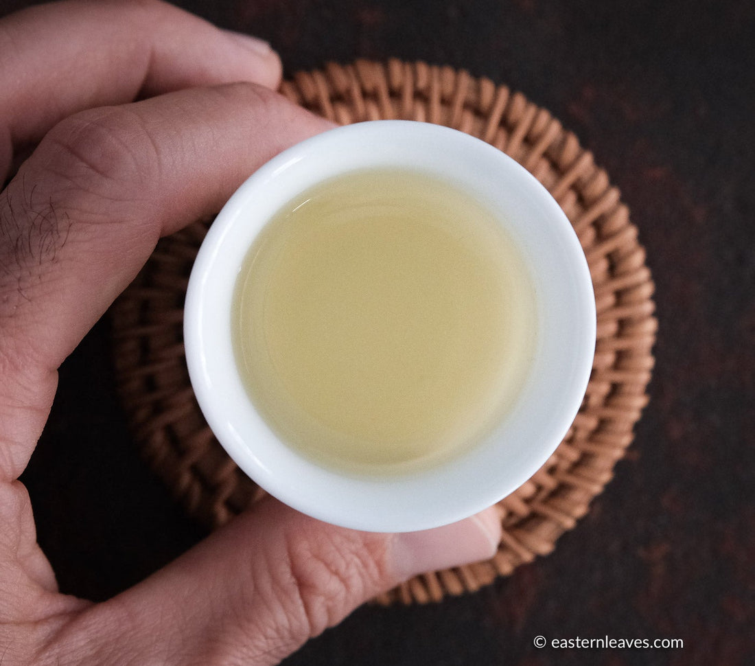 Chinese green tea from Yunnan, Dianlu, with a hand holding a white ceramic cup and coaster teaware from Jingdezhen, China