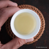 Chinese green tea from Yunnan, Dianlu, with a hand holding a white ceramic cup and coaster teaware from Jingdezhen, China