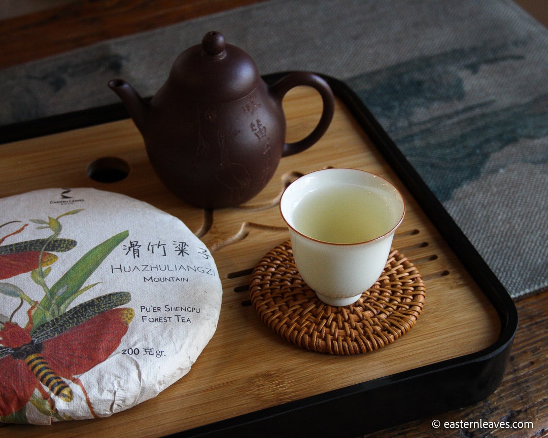 pu'er shengpu tea forest in Huazhuliangzi  mountain, high altitude in Yunnan, China; stone pressed cake with yixing teapot and ceramic cup