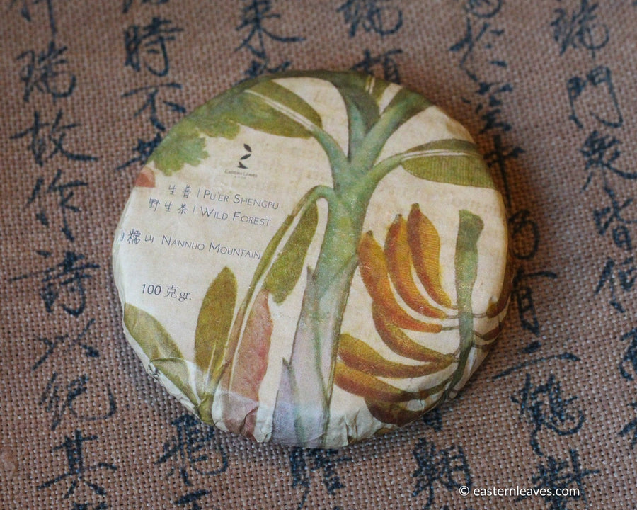Pu'er shengpu in forest in pressed cake, from Yunnan, China, 2021 spring harvest vintage, sustainable