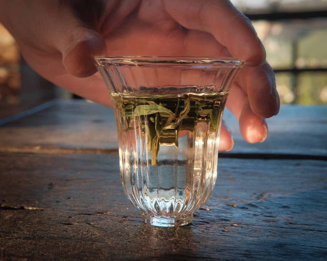 Longjing from Xihu Meijiawu, cultivar 43 Chinese green tea pre-qingming, infused loose-leaf in glass cup