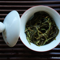 Youle mountain Pu'er shengpu in forest in pressed cake, from Yunnan, China, 2021 spring harvest vintage, sustainable
