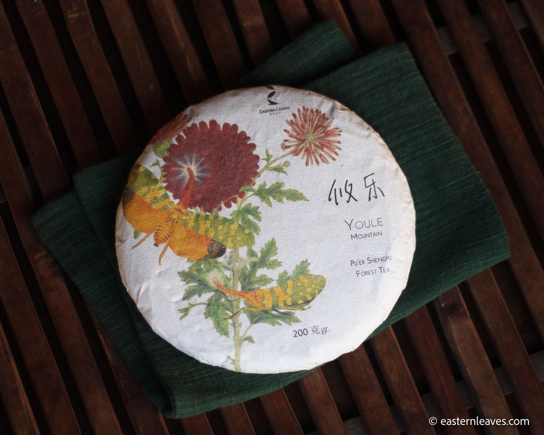 Youle mountain Pu'er shengpu in forest in pressed cake, from Yunnan, China, 2021 spring harvest vintage, sustainable