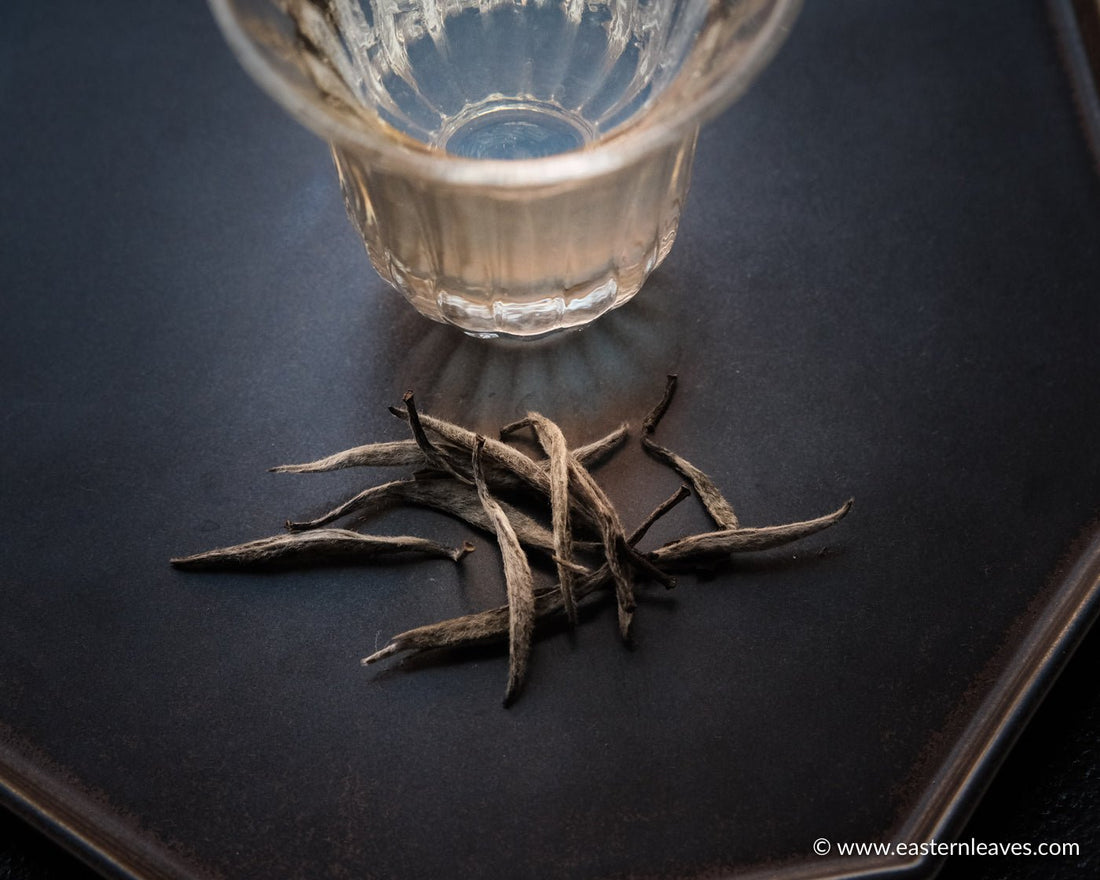 2022 Bai Hao Yin Zhen - Silver Needle White Tea - Eastern Leaves