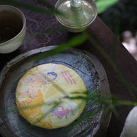 pu'er tea pressed in brick cake from Lunan mountain, Yunnan, from ancient trees gushu, huangpian yellow leaves with gaiwan
