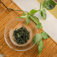 2022 Lu'an Guapian 六安瓜片 - Melon Seed - Eastern Leaves