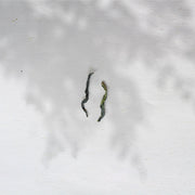 2022 Lu'an Guapian 六安瓜片 - Melon Seed - Eastern Leaves