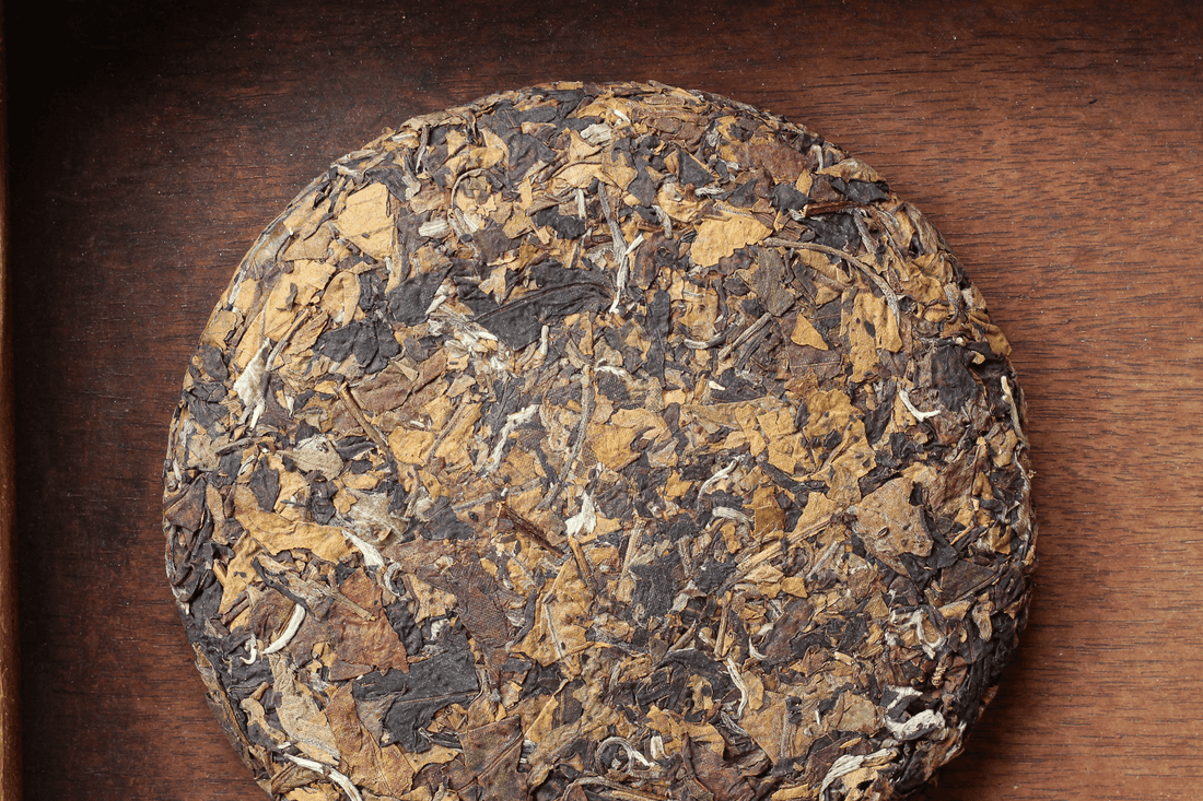 ancien trees gushu white tea Yueguangbai, Yunnan, China, in high quality pressed cake, leaves detail