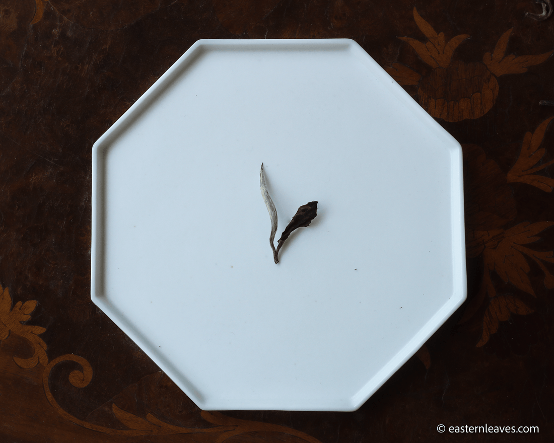 Chinese white tea Yueguangbai moonlight, from Lunan Pasha Yunnan, aged white tea, ancient trees gushu, leaf detail
