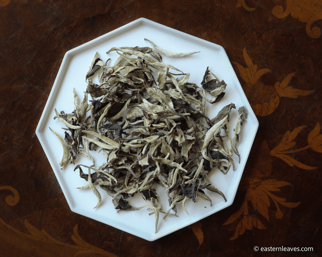 Chinese white tea Yueguangbai moonlight, from Lunan Pasha Yunnan, aged white tea, ancient trees gushu, leaf detail