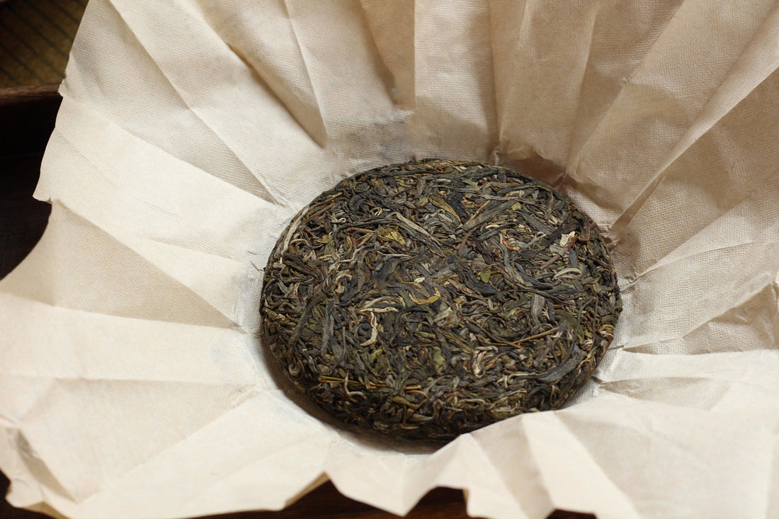 2023 Nannuo Pu'er Shengpu tea, Wild Forest Stone-pressed cake - produced by Eastern Leaves