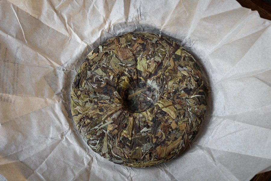 2023 Yueguangbai White Tea from Wild Forest, 200 gr stone-pressed cake - Eastern Leaves