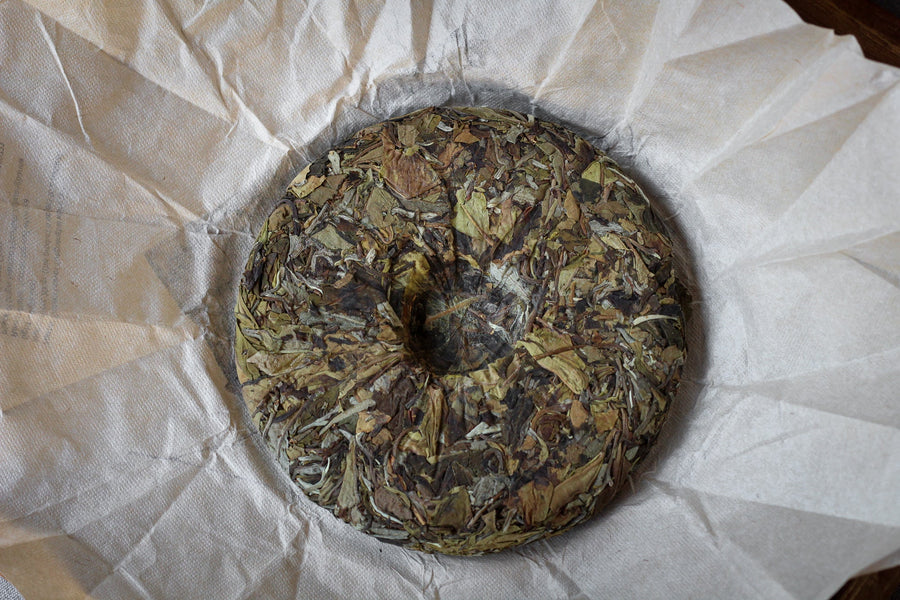 2023 Yueguangbai White Tea from Wild Forest, stone-pressed cake - Eastern Leaves