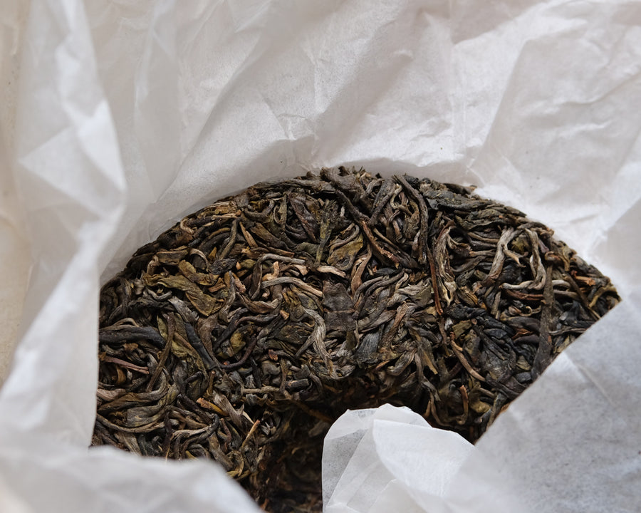 Pu'er sheng pu spring harvest vintage and aged in pressed cake, from Lunan Pasha Yunnan, Ancient trees gushu, leaf detail
