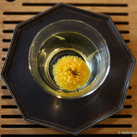 Chrysanthemum flowers tea from China, yellow whole flower opening in glass gaiwan teapot