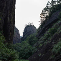 Wuiyishan rock tea canyon, with tea trees growing on rocks, China for premium specialty tea