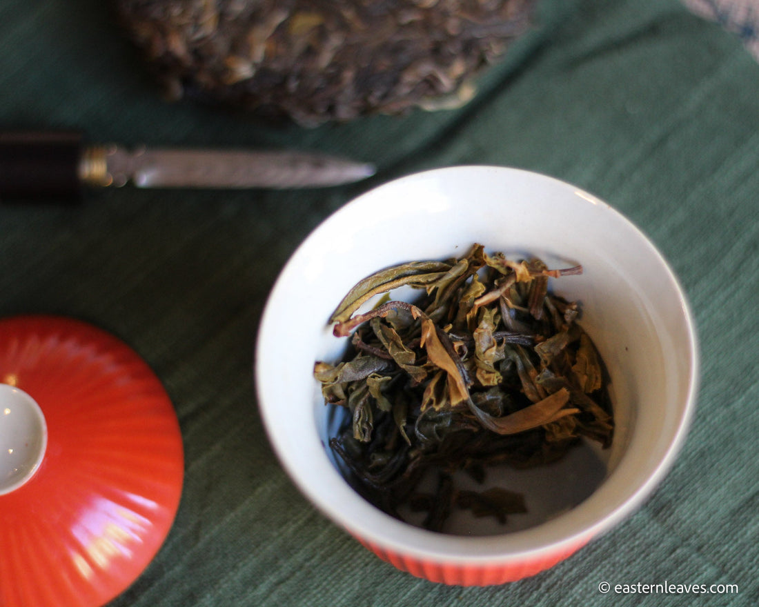 Mountains, forests and terroir - Pu'er tea Tastebox - Eastern Leaves