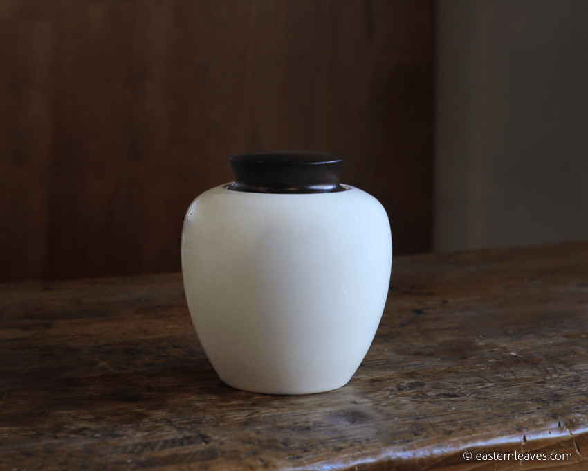 Opposite Poles - Ceramic Vase - Eastern Leaves