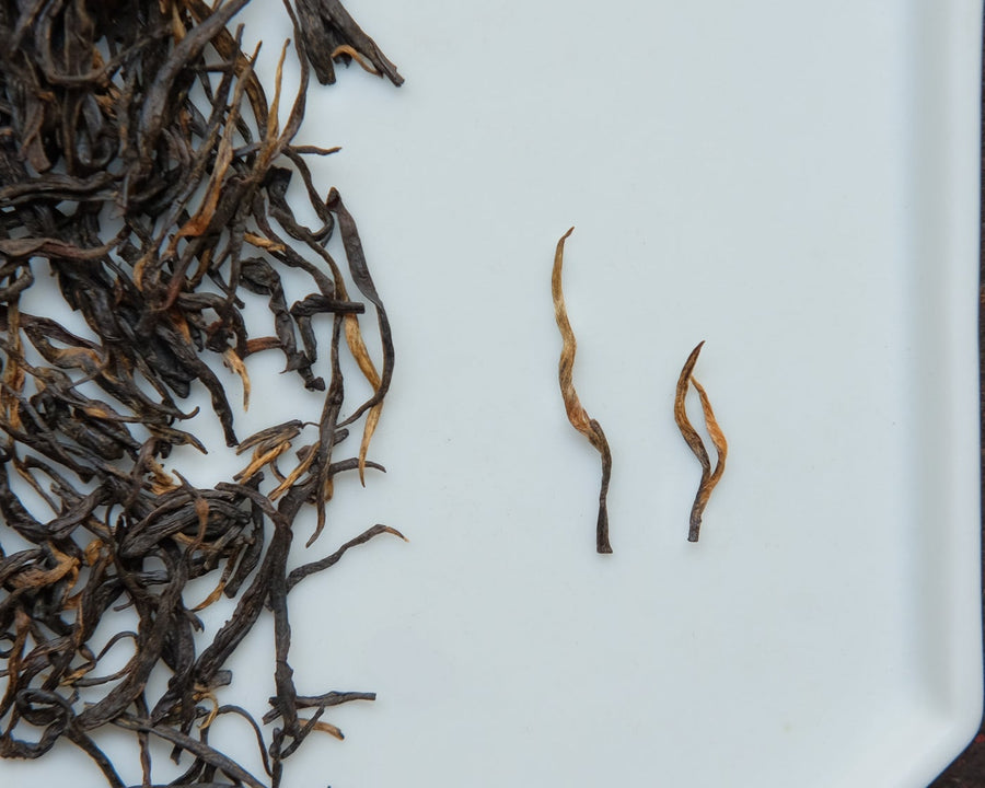 Chinese loose-leaf red and black tea Qimen Jinzhen, handcrafted Keemun tea, for gongfucha, with leaves detail