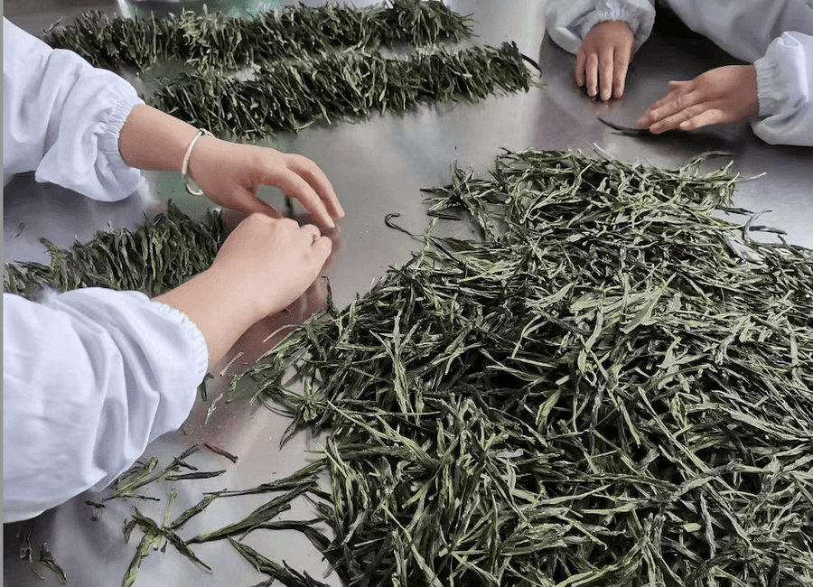 Taiping Houkui 太平猴魁 - Green Tea - Eastern Leaves